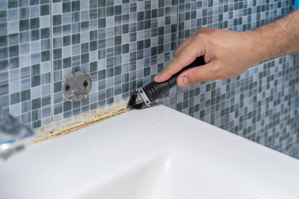 Best Water Damage Restoration  in Eureka, IL